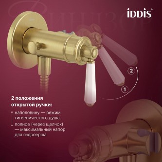 Гигиенический душ со смесителем встраиваемый IDDIS Виндзор WINMGR0i08