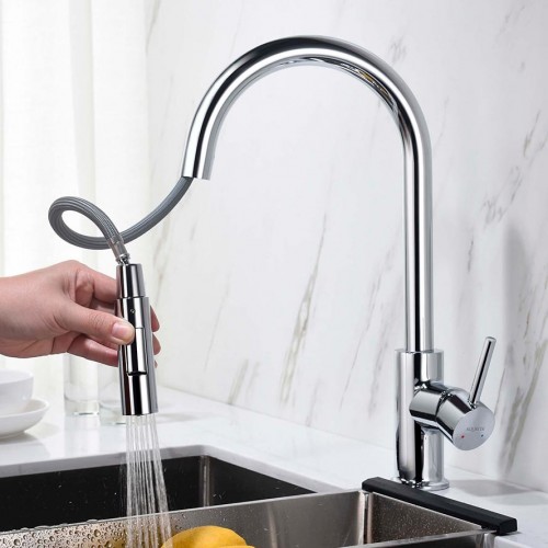 Смеситель для кухни с выдвижным изливом AQUATEK Европа AQ1384CR