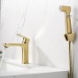 Смеситель для раковины с гигиеническим душем AQUATEK Альфа AQ1912BG